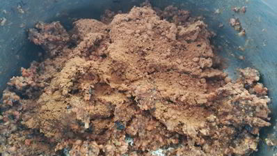 сыроедческие конфеты из моркови, сухофруктов и орехов