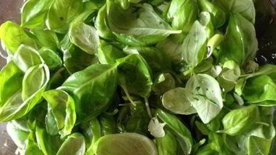 базиликовый курд