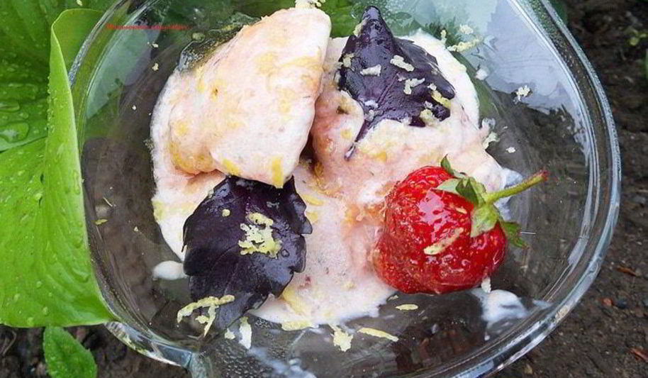 Рецепт мороженого с клубникой, базиликом и лимонной карамелью