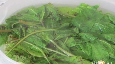 торт-мороженое арбуз