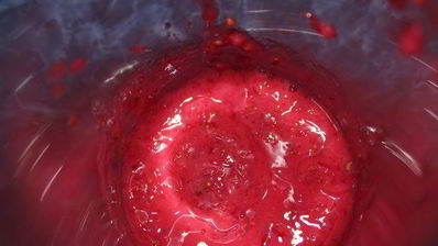 торт-мороженое смородинка