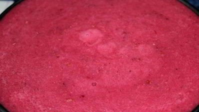 торт-мороженое смородинка