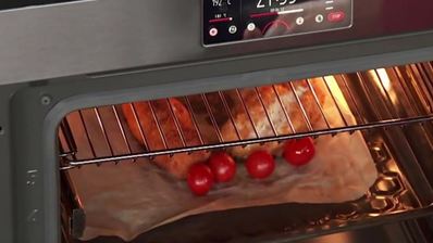 индейка, фаршированная муссом из цыпленка, под винным соусом