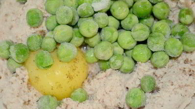 террин-суфле три вкуса