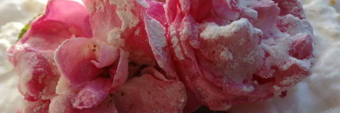 Торт-суфле Цветочное облако