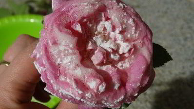 торт-суфле цветочное облако