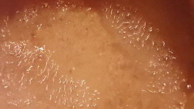 ягодная панна-котта