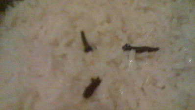 рис басмати по-турецки