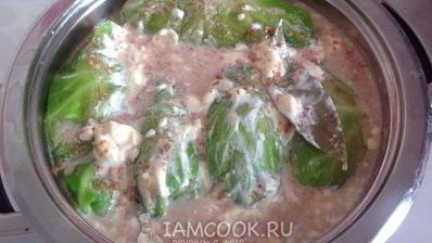 голубцы из молодой капусты