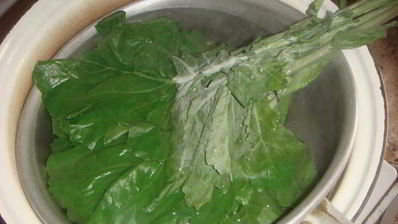 голубцы в лахане с двумя соусами