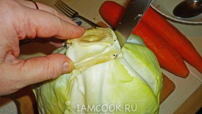 квашеные голубцы с морковью