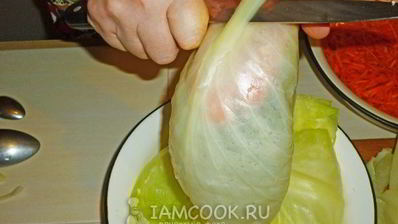 квашеные голубцы с морковью