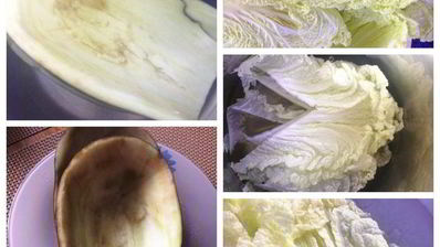 постные овощные голубцы