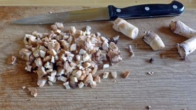 грибы с сыром и помидорами в духовке