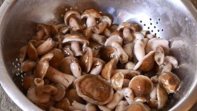 маслята жареные в сметане