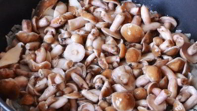 маслята жареные в сметане