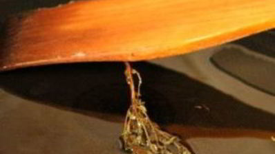 мидии и шампиньоны в сливках