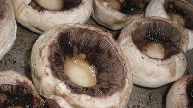 шампиньоны фаршированные курицей