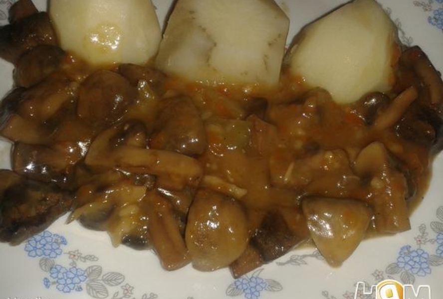 Шампиньоны золотистые