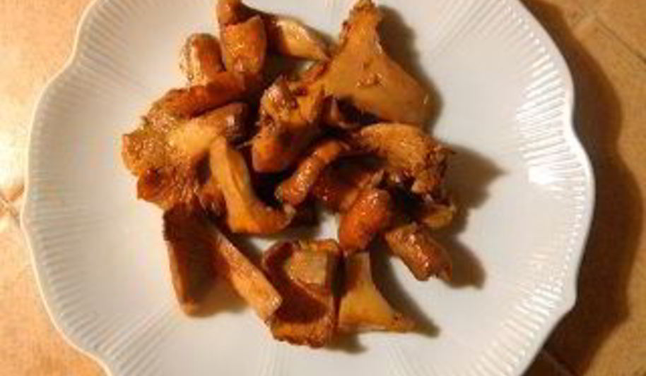 Рецепт тушеных лисичек