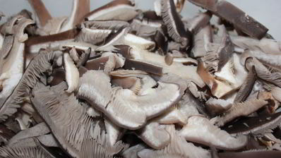 жареные вешенки