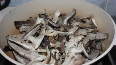 жареные вешенки