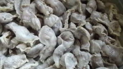 гуляш из желудков куриных