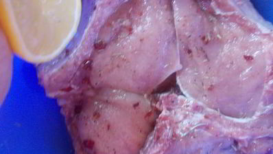 свиная котлета на кости на костре