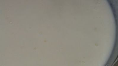 моя мясная лазанья