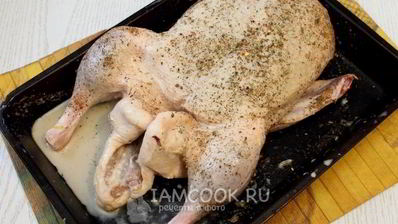 утка в рукаве в духовке