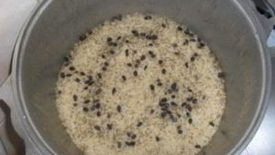 плов узбекский из баранины