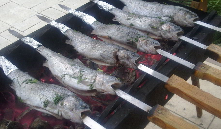 Рецепт озерной форели на углях