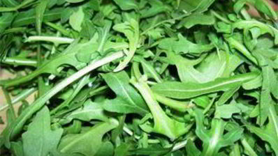 роскошная семга в еловой руколе я тебя люблю