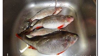 рыба на гриле