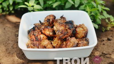 шашлык из курицы
