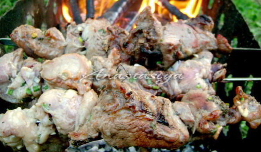 Рецепт шашлыка из свинины в кефире с зеленым луком