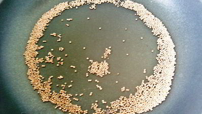 тефтели в горчичном соусе