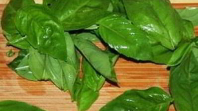 томатные ньокки с базиликом и сметанным соусом