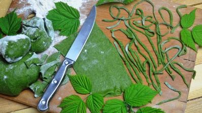 зеленая домашняя лапша с крапивой