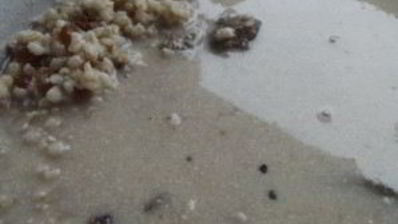 кутья с халвой