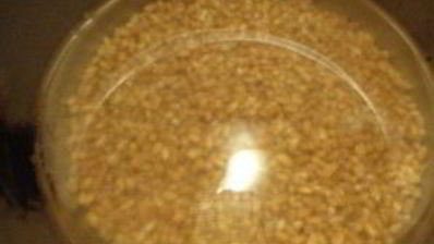 кутья с яблоками