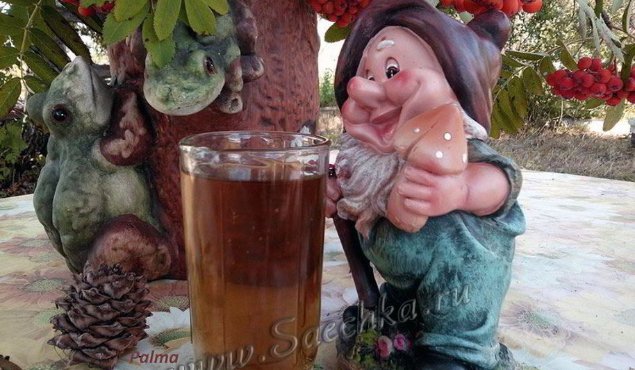 Рецепт чая из иван-чая