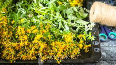 чай из зверобоя