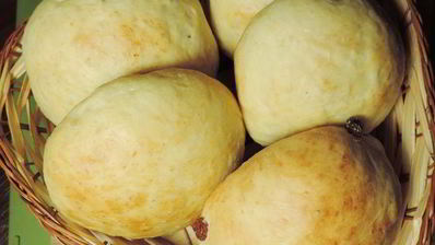 чайные булочки