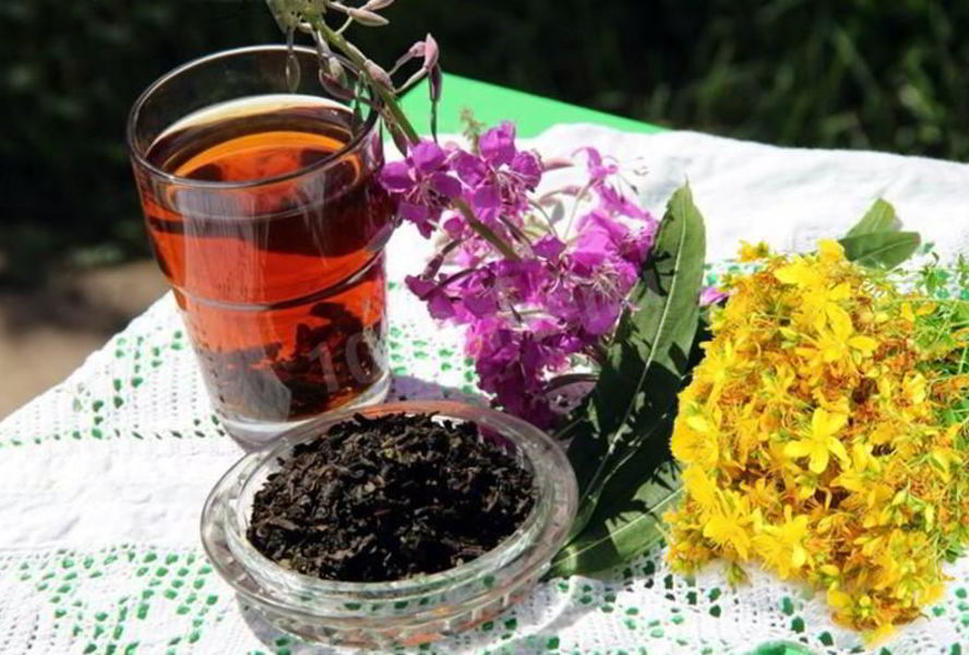 Иван чай зверобой