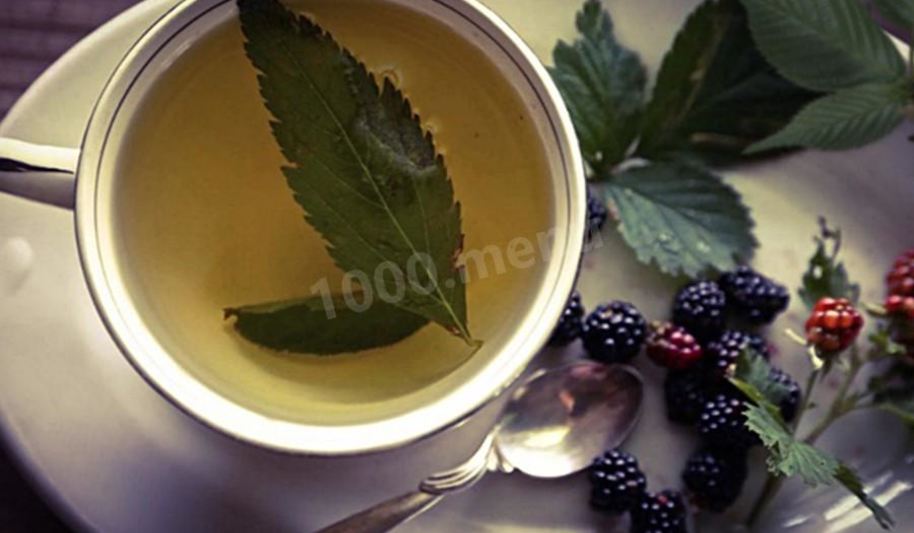 Рецепт листьев ежевики чай