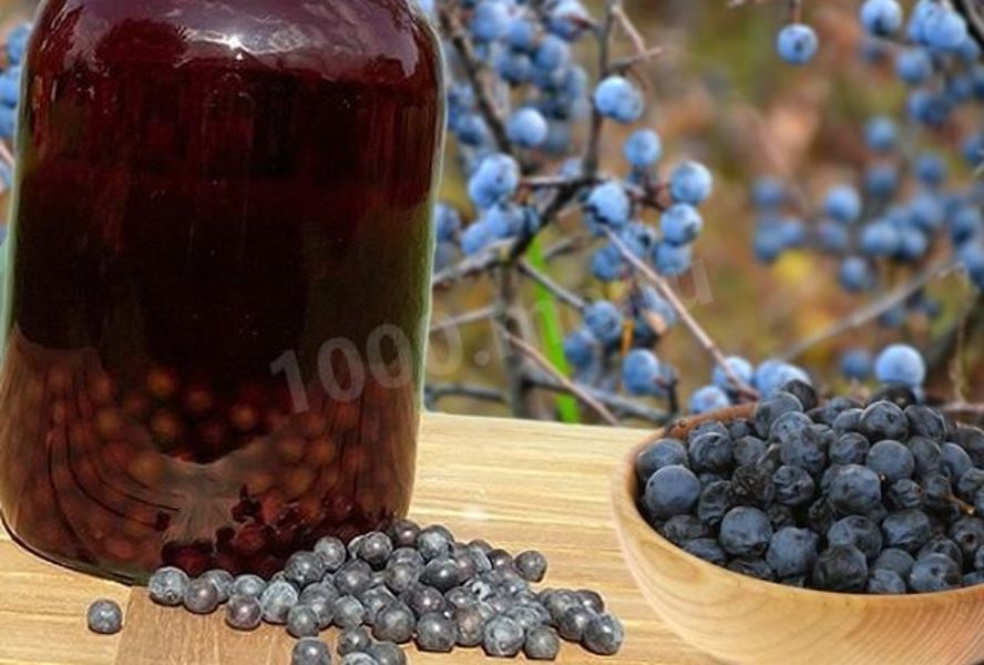 Домашнее терновое вино из терна