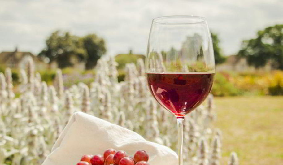 Рецепт домашнего вина из лидии