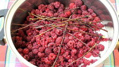 малиновый ликер