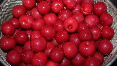 вишневая наливка